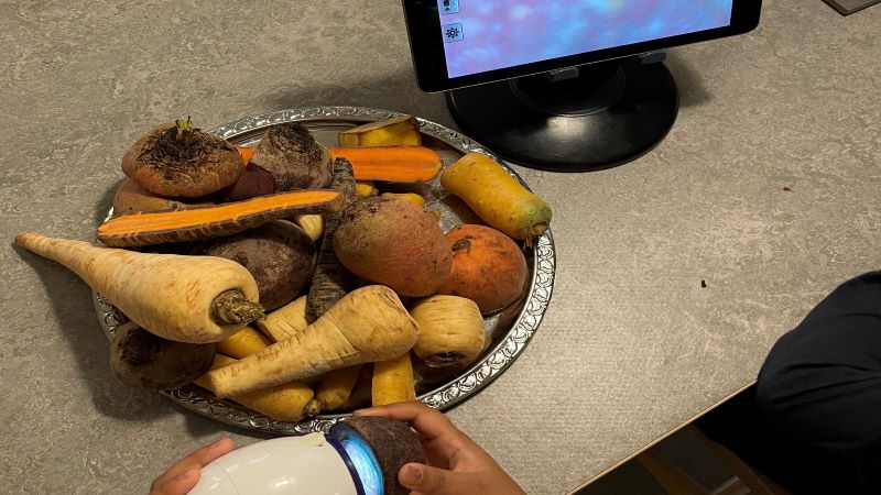 Barn tittar på rotfrukter genom ett webbägg