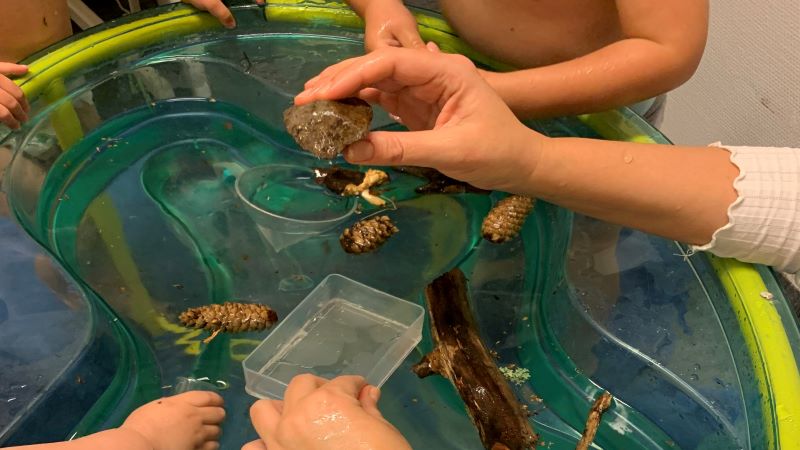 Barn och pedagog leker med plastdjur i vatten.