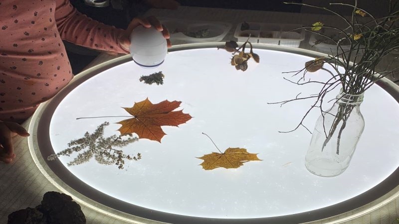 Barn tittat på löv vid ett ljusbord
